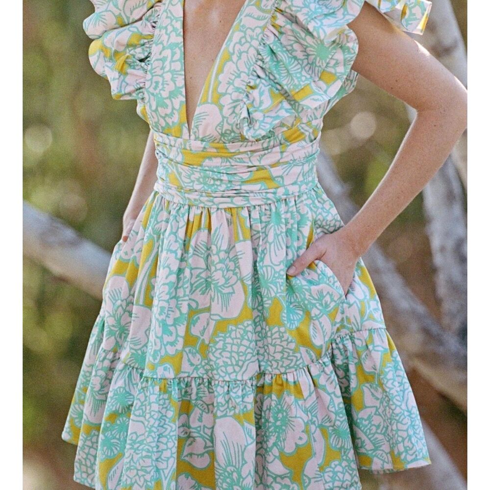 NWT Hutch Flutter Sleeve Raffia Dress with Pockets size S - Picture 6 of 11